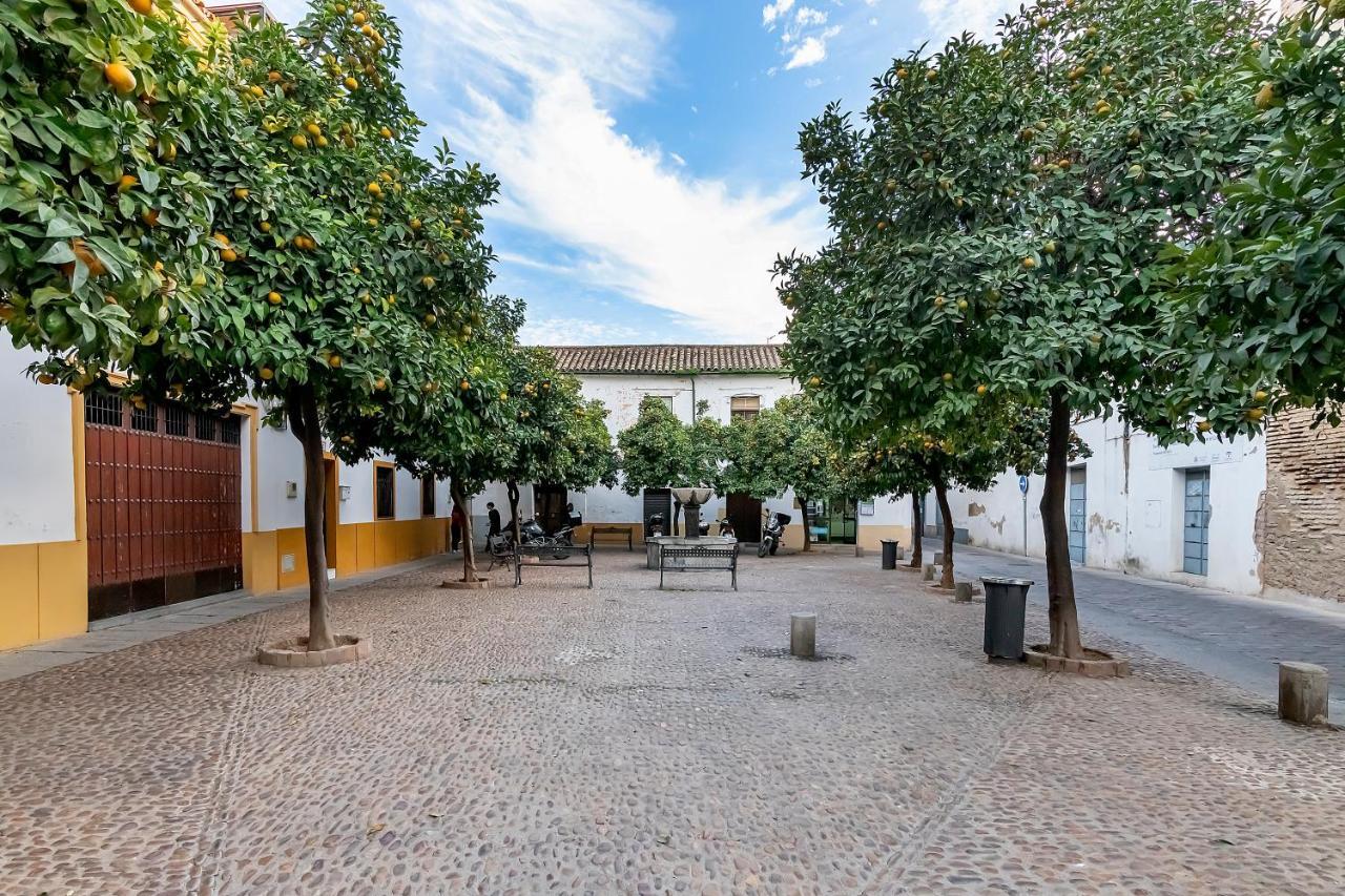 Bhost - Regina VI Apartment Cordoba Luaran gambar